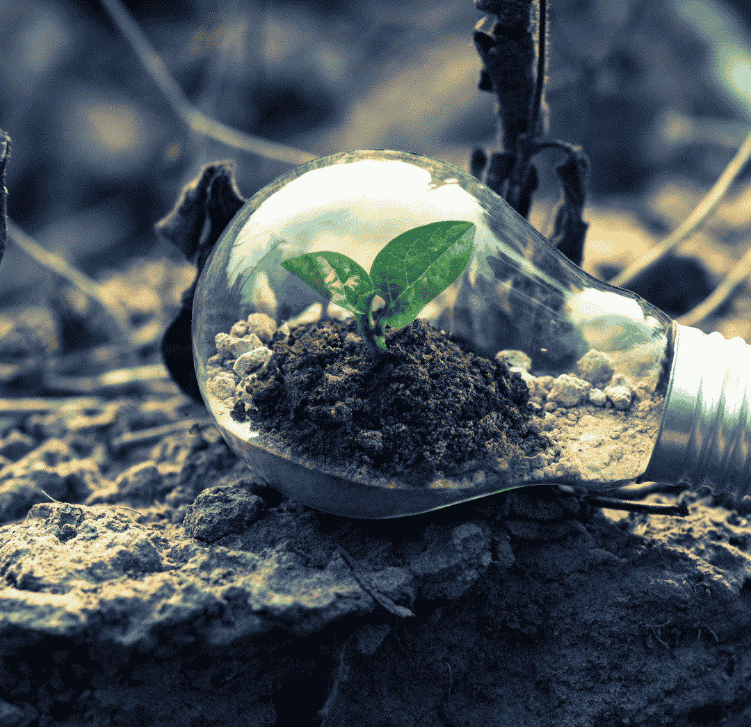 Tansi sustainability and community responsibility commitment